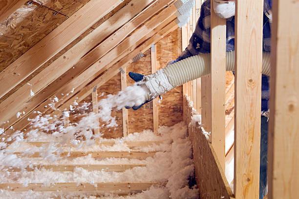 Eco-Friendly or Green Insulation Solutions in Clinton, IL